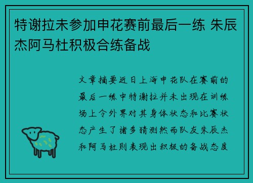 特谢拉未参加申花赛前最后一练 朱辰杰阿马杜积极合练备战